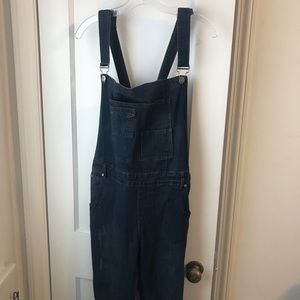 Wishlist dark wash denim overalls lrg.